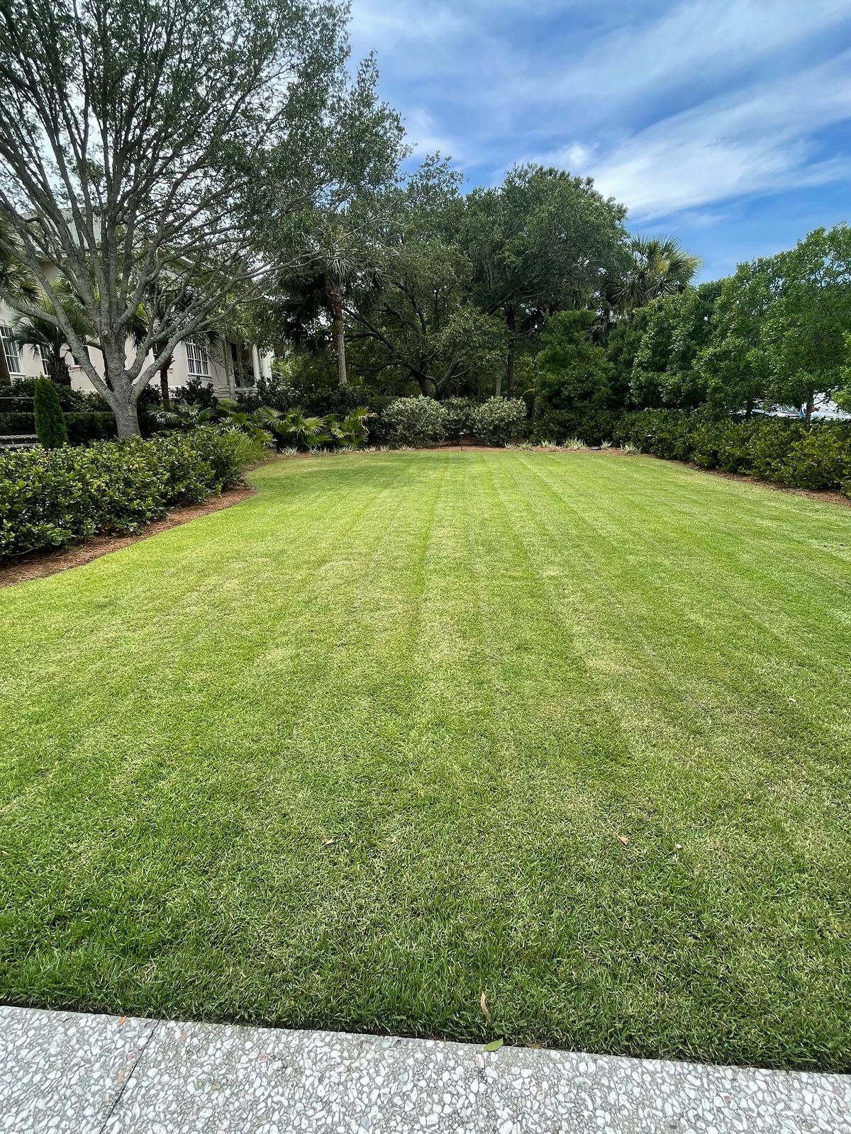 Cut Grass service